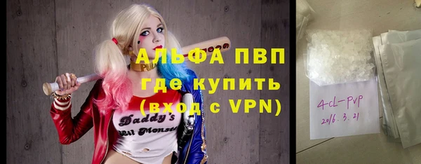 ПСИЛОЦИБИНОВЫЕ ГРИБЫ Верея