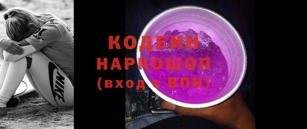 ПСИЛОЦИБИНОВЫЕ ГРИБЫ Верея