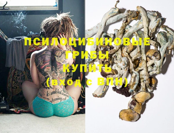 трава Верхний Тагил