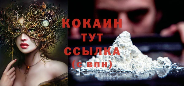 ПСИЛОЦИБИНОВЫЕ ГРИБЫ Верея