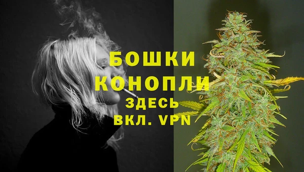 ПСИЛОЦИБИНОВЫЕ ГРИБЫ Верея