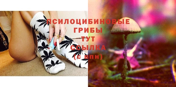 ПСИЛОЦИБИНОВЫЕ ГРИБЫ Верея