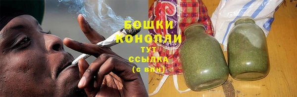 прущие грибы Сафоново
