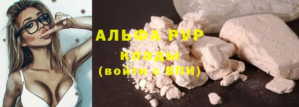 ПСИЛОЦИБИНОВЫЕ ГРИБЫ Верея