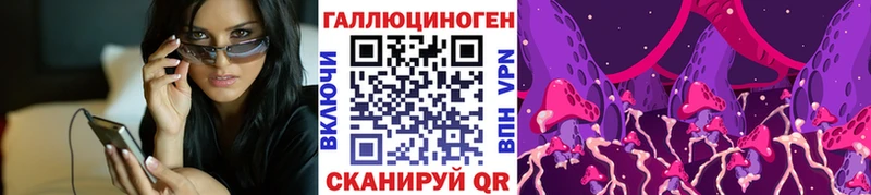 Псилоцибиновые грибы Cubensis  Североморск 